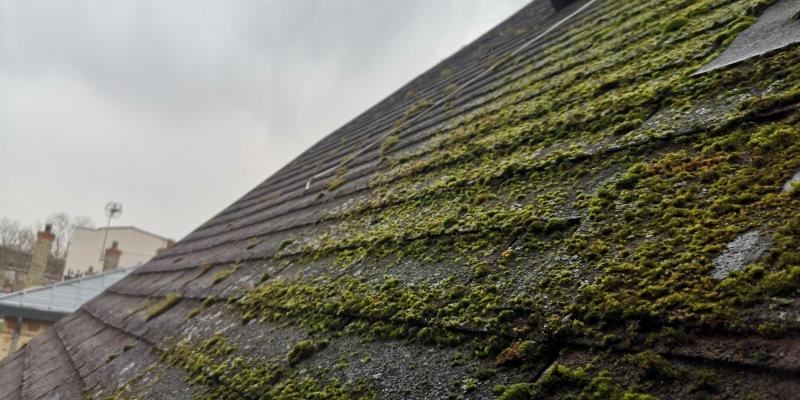 Bardeau bitumeux à Paris 19