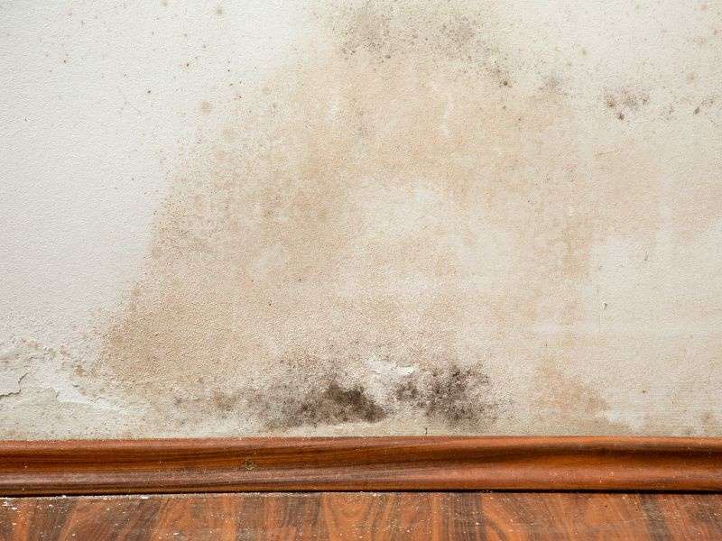 Remontées capillaires dans une copropriété