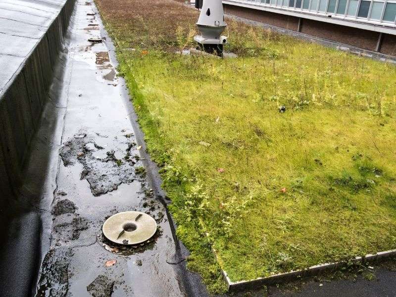 Toit végétalisé : avantages et inconvénients Entretien d'un toit végétal.