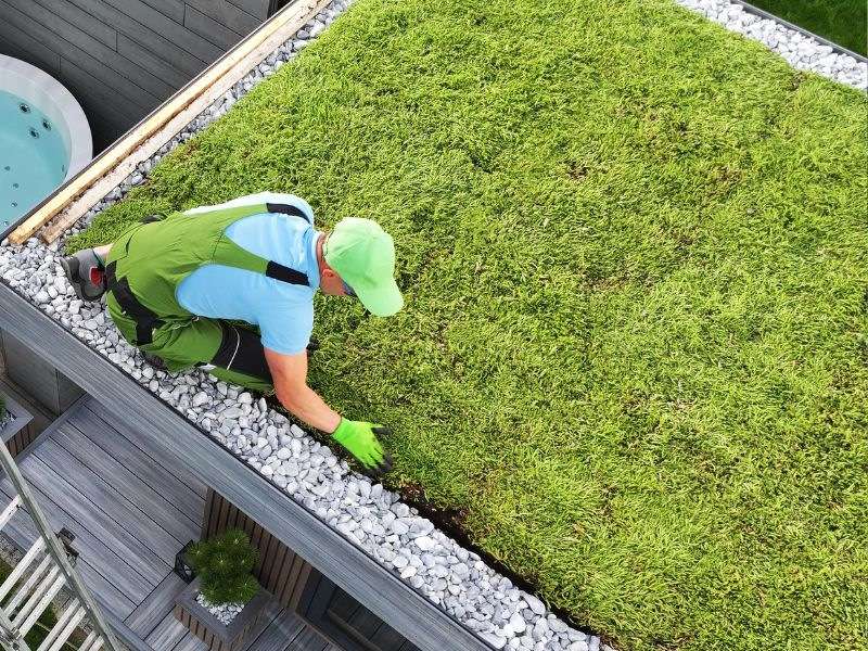 Toit végétalisé : avantages et inconvénients Qu'est-ce qu'un toit végétal ?