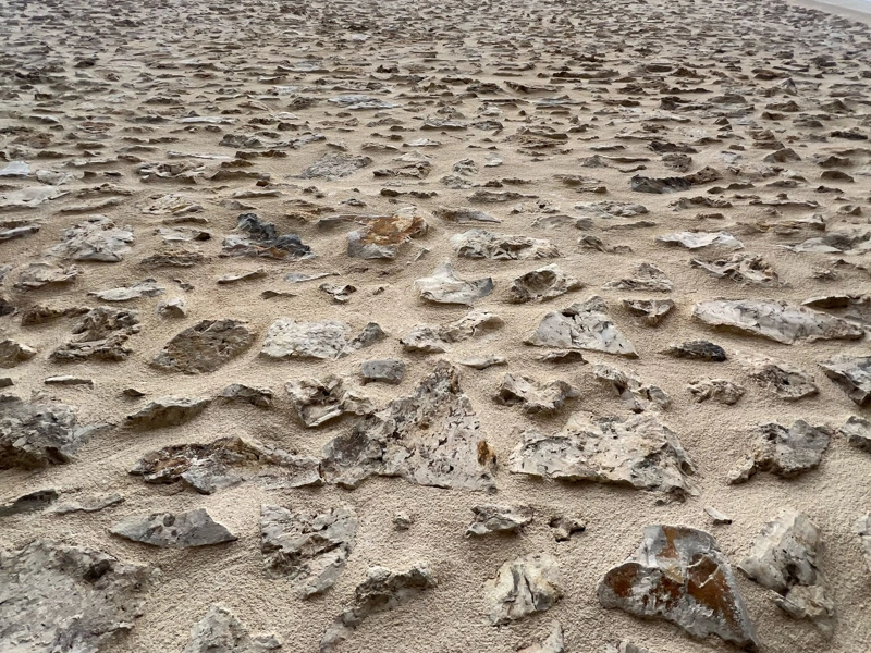 Entreprise de rénovation de façade à Paris et en Île-de-France Joints de pierre à la chaux
