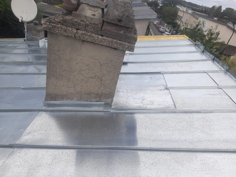 Couverture de toit en zinc