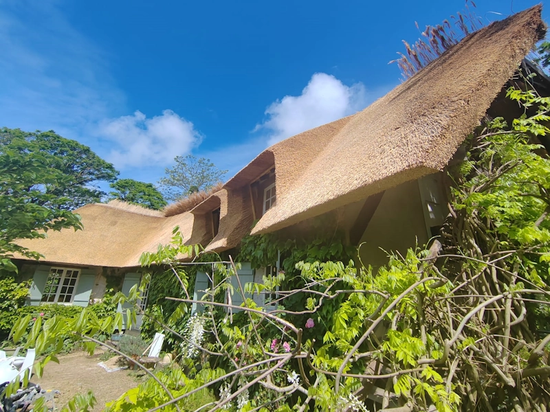 Artisan chaumier Yvelines 78