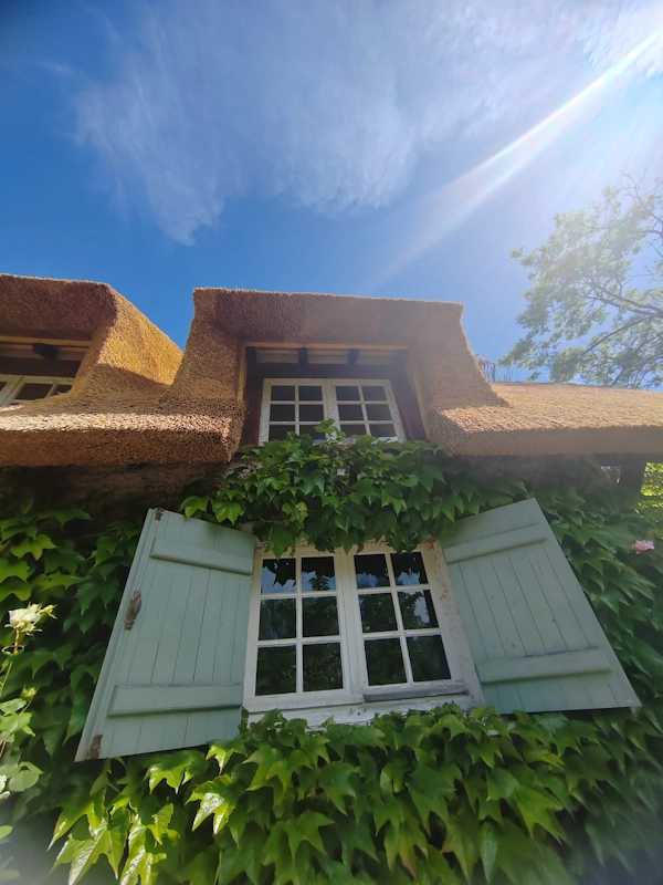 Artisan chaumier yvelines