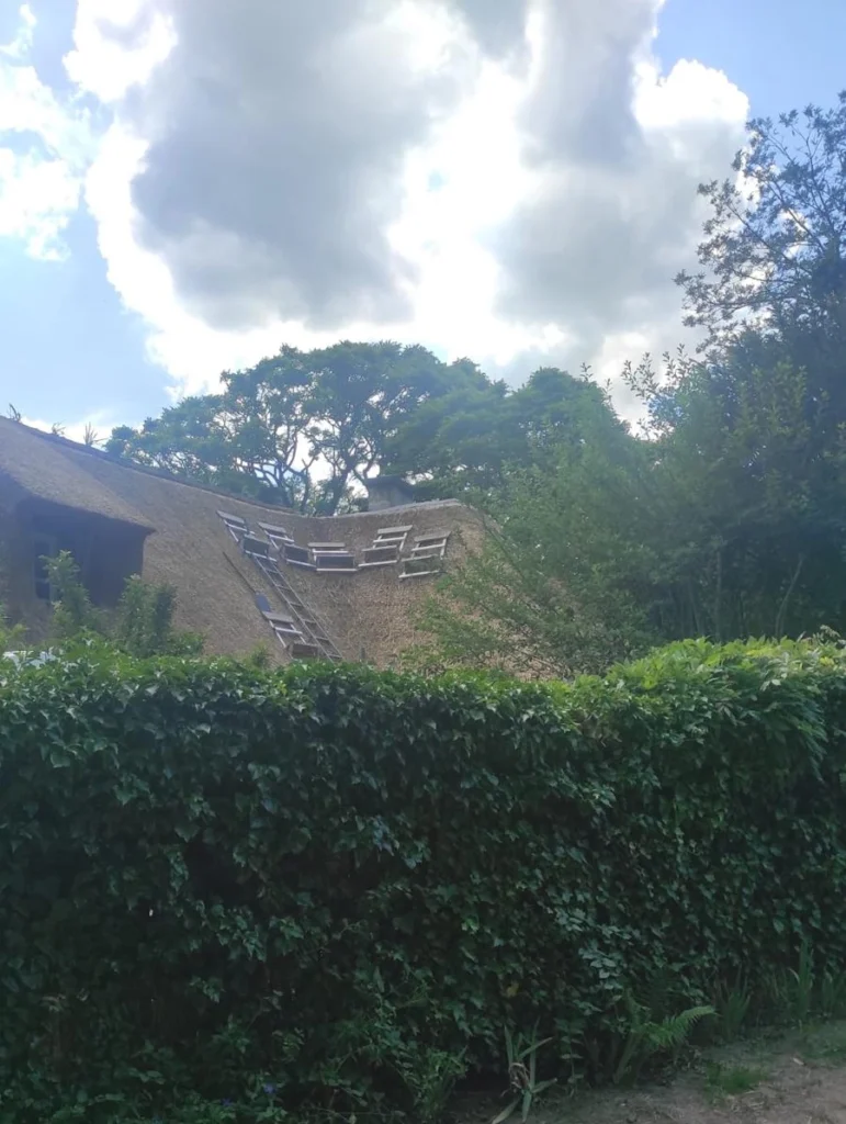 Couverture chaume 78