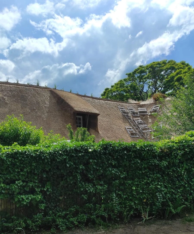 Couverture chaume 78 Yvelines