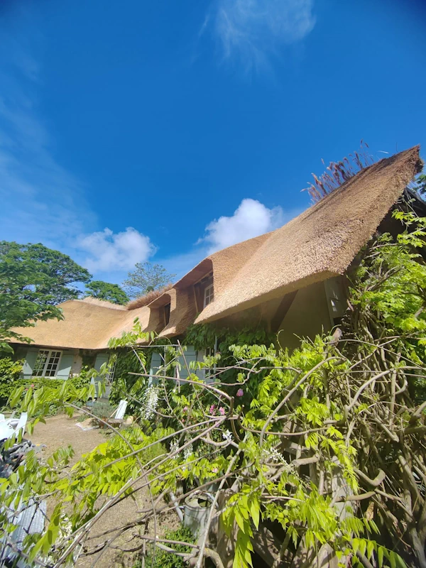 Couvreur chaumier 78