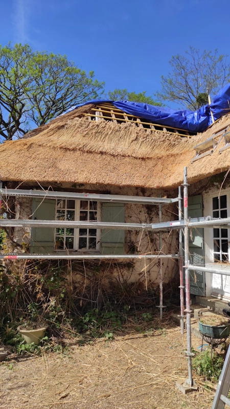 Pose dun toit en chaume