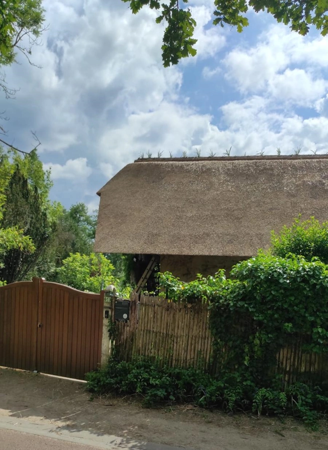 Pose toit de chaume Yvelines