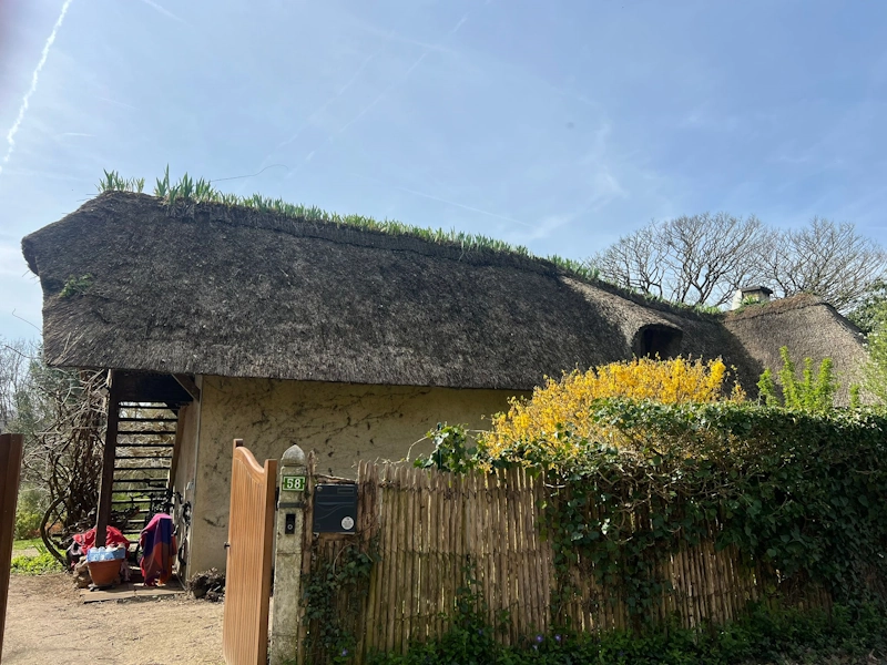 Renovation couverture chaume Yvelines