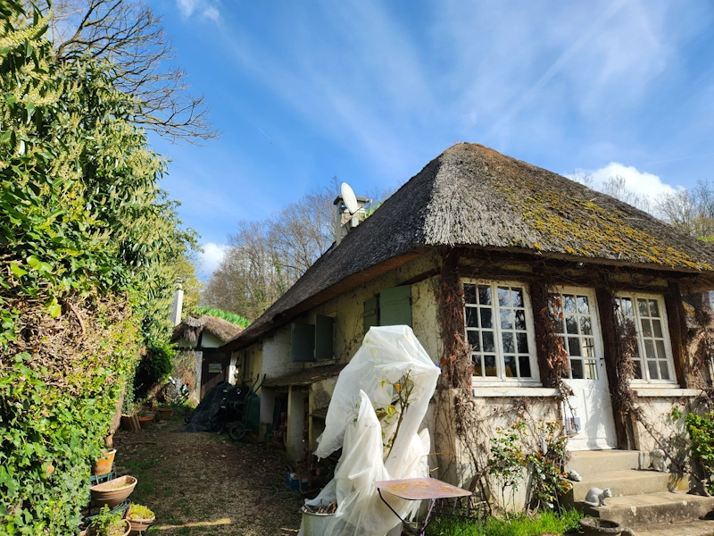 Renovation toit de chaume Yvelines