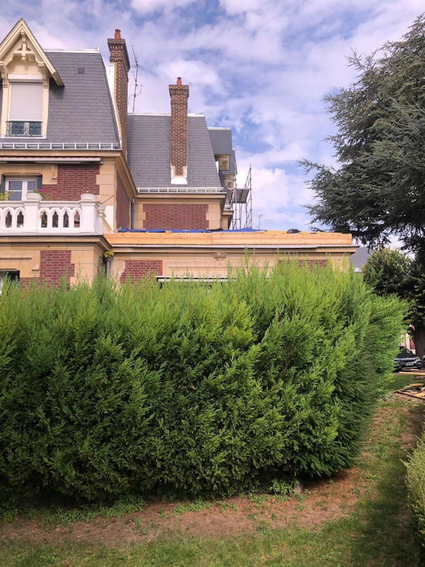 Renovation toit en zinc 95