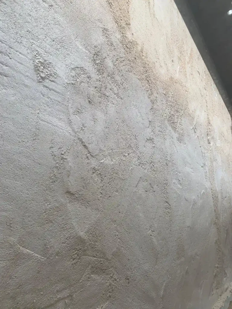 remise a neuf facade rosny