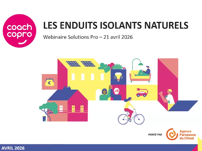 Les actualités de DSD Rénov Webinaire Solutions Pro Enduits Isolants Naturels