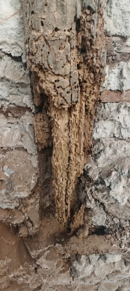 ravalement facade enduit chaux yvelines