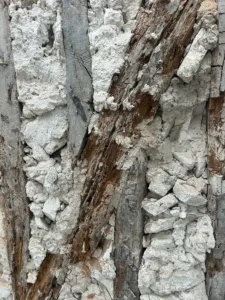 ravalement facade paris 12 ravalement colombages complet