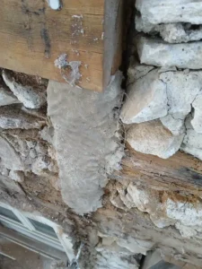 ravalement facade paris 12 renovation pans de bois artisan