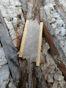 ravalement facade paris 12 renovation pans de bois patrimonial