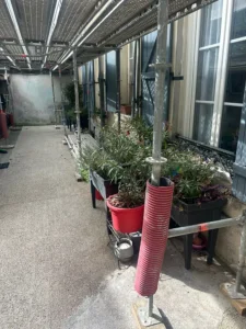 ravalement facade paris 12 renovation pans de bois urbain