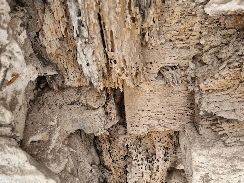 Effondrement d'un immeuble à pans de bois : comprendre les risques Cause d'affaiblissement des pans de bois