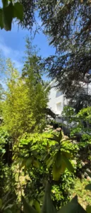 mise en peinture bardage la garenne colombes