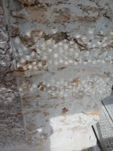 renovation pignon buc