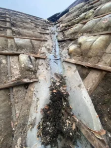 renovation sarking bois chaville
